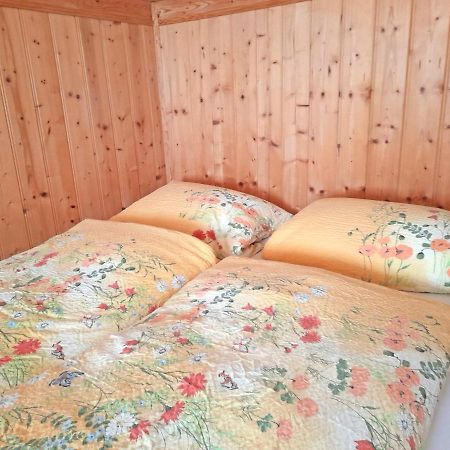 Ferienwohnung Spitzsteinblick زاخرنغ المظهر الخارجي الصورة