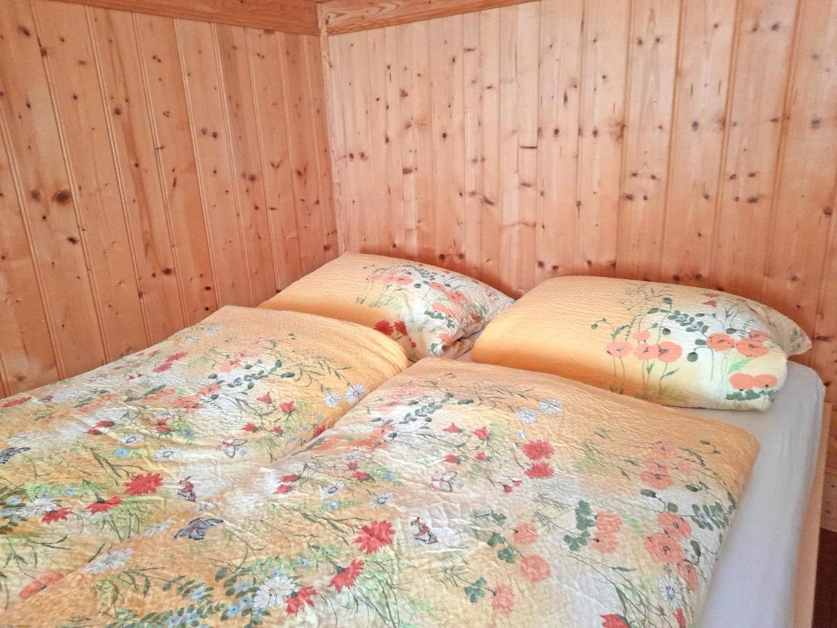 Ferienwohnung Spitzsteinblick زاخرنغ المظهر الخارجي الصورة